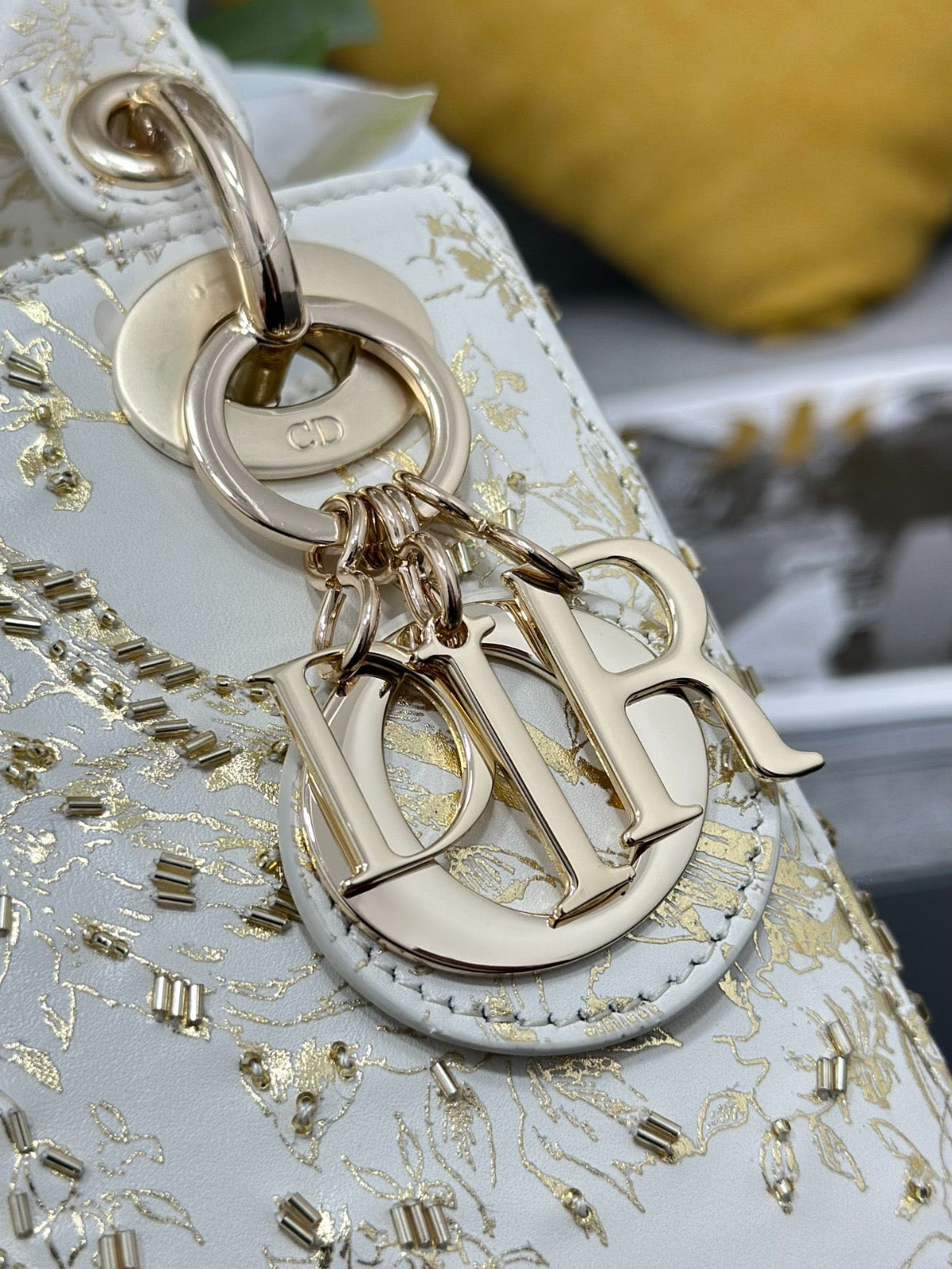 Lady Dior Cabinet de Curiosités golf bag 