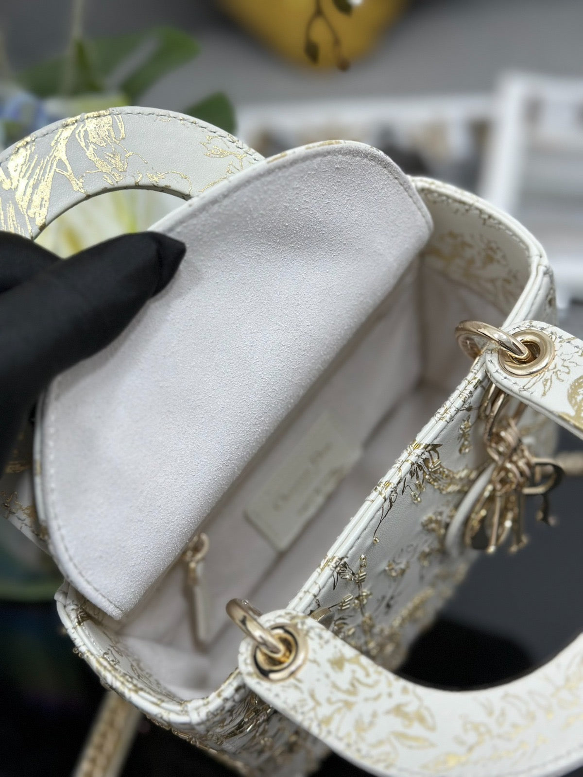 Lady Dior Cabinet de Curiosités golf bag 