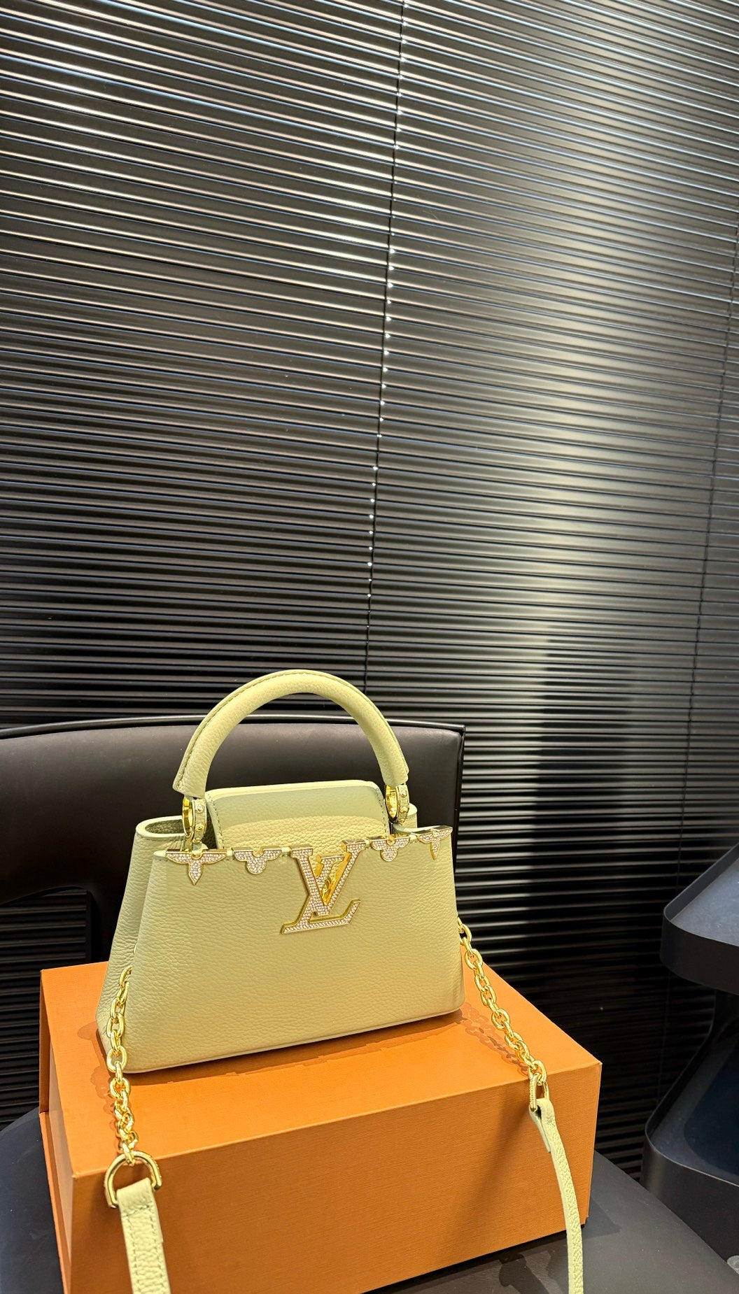 LV x TM Borsa Capucines BB